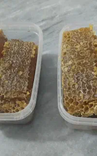 عسل طبیعی کجور