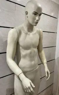 مانکن و قفصه باکس ویترین.رگال