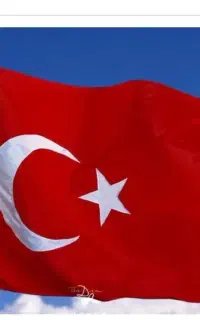 ویزا ترکیه مخصوص اتباع