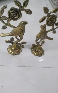 گنجشک برنجی