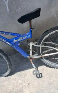 دوچرخه