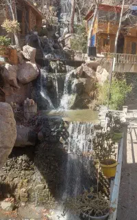 نیروی کار گارسون در محوطه خانم ویا اقا
