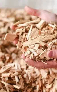 استخدام نیروی کار