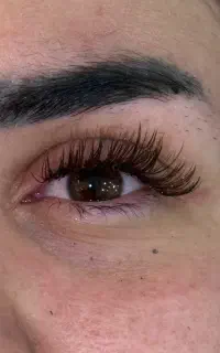 چشم گربه ای قهوه ای