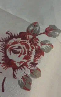 کالسکه کریر