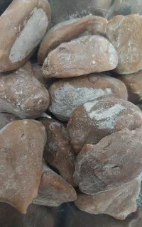 تلف محلی بز و میش