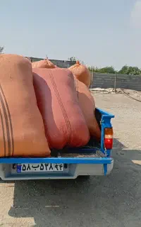 غذای دام کاه  گندم