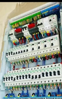 برقکار کوروش زیتون کیانپارس