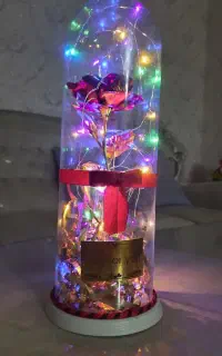 باکس گل رز شیشه ای(دکوری)