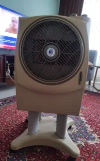 کولرابی سالم