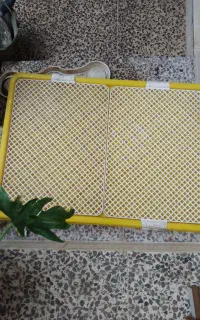 جای دستشویی سگ