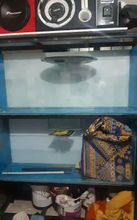 اکواریوم سالنی