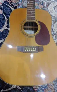 گیتار 12سیم هافنر