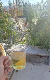 استخدام رستوران