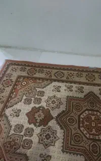 همکار خانم بدون سابقه کاری