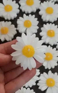 شمع گل بابونه معلق روی آب