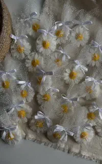 گیفت بابونه