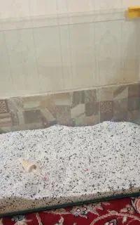 آکواریوم حراج