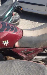 موتور