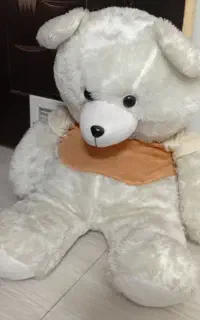 خرس بزرگ قد ۹۶