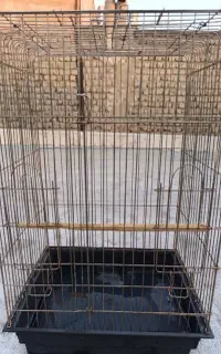 دو عدد قفس پرنده
