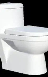 توالت فرنگی