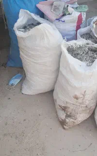 کود کبوتر