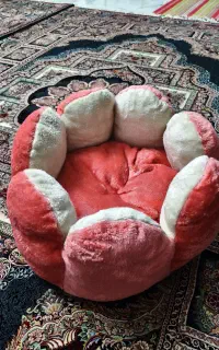 جای خواب گربه دوتیکه