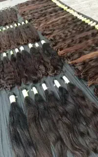 صادرکننده و خریدار اصلی مو