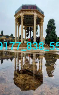 9177838551