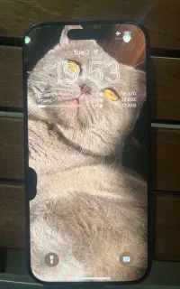 ایفون ۱۵ پرو ۵۱۲ (بدون ریجستر)