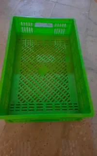 سبد