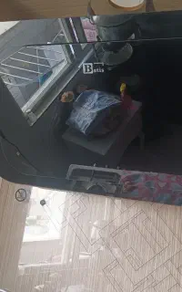 هود باتیس صفر