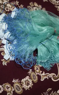تور ماهیگیری گاریزی