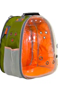 کیف حمل پرنده و سگ و گربه(در بندر دیلم)