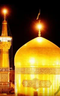 بلیت وتور ریلی مشهد مقدس همه روزه،بلیت داخلی ترکیه