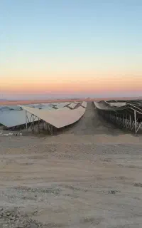 جذب نیروی فعال