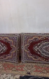 دو جفت پشتی