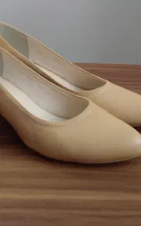 کفش مجلسی