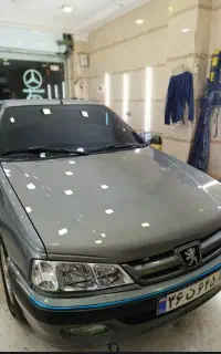 نقاشی و باسازی پولیش‌