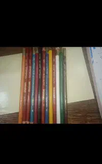 مدادرنگی پلی کروم اصل آمریکا (تراش نخورده )