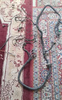 سیم پیچی پژو
