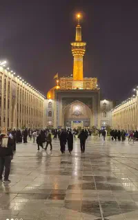 تور زیارتی مشهد،نقوی نیا ،