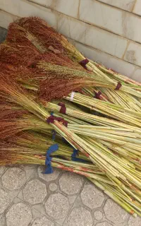 60 دسته جارو دسته ای95