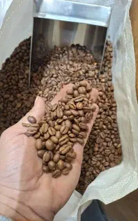 میکس فول5 دان