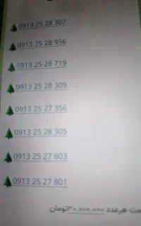 بهترین سیکارت دائمی رند