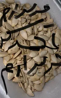 خشکبار و حبوبات و تخم کدو و کودشیمیایی و گندم