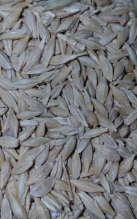 جو آبی ۶۴۰۰۰ ت