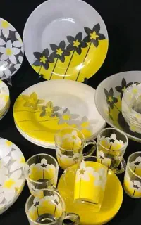 سرویس آرکوپال لومینارک اصل فرانسه
