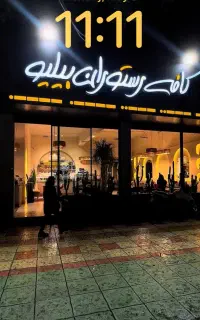 جذب نیروی ویتر (سالندار)